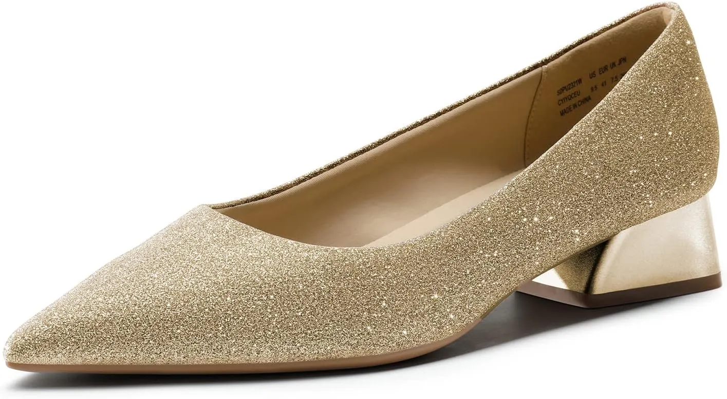 DREAM PAIRS Women's Chunky Heels Closed Toe Low Block Work Shoes Pointed Toe Dress Comfortable Wedding Pumps