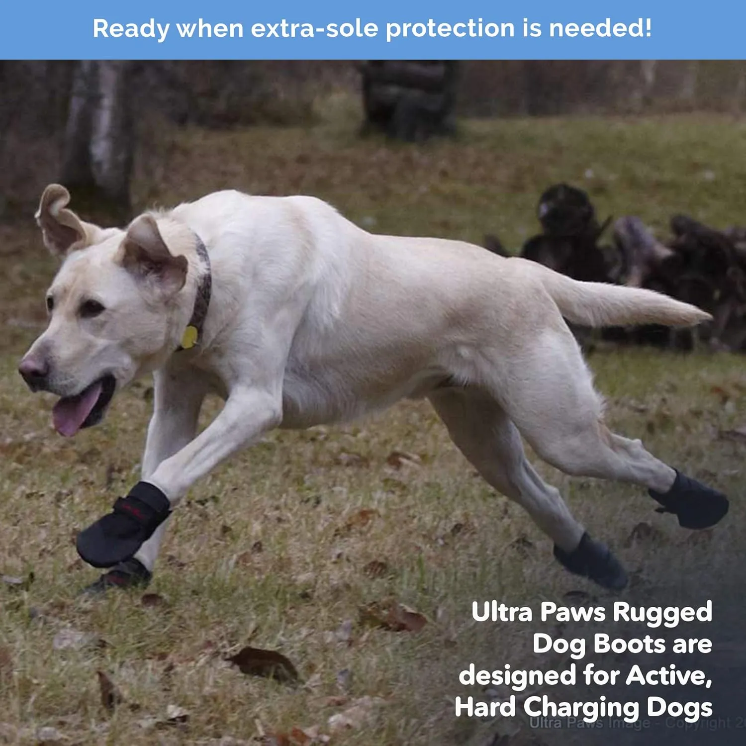 Rugged Dog Boots & Paw Protectors for Small, Medium and Large Dogs Black (Size 6)