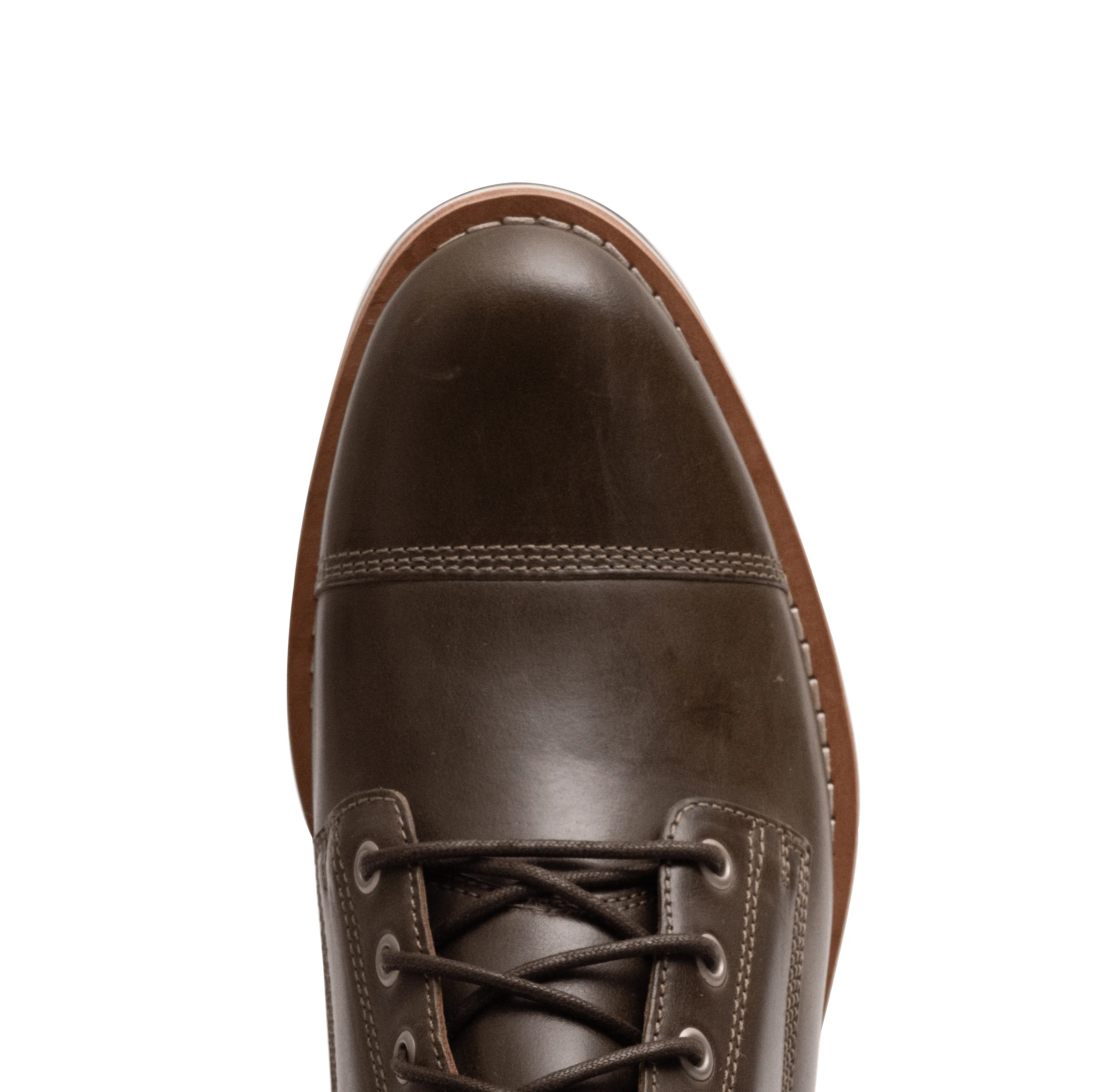 The Hollis Olive